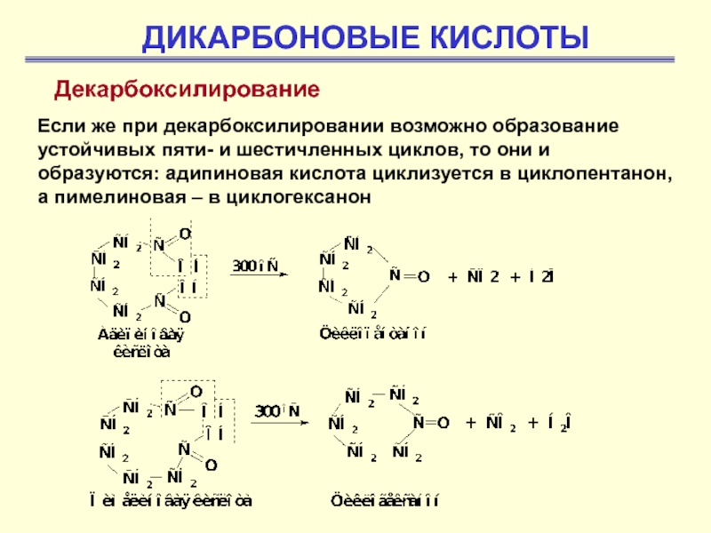 Дикарбоновые кислоты