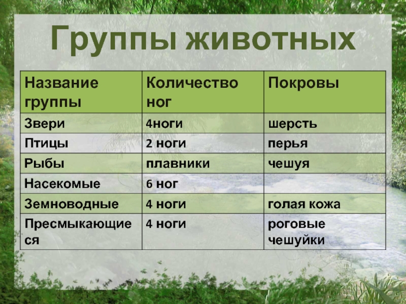 1 название сообщества. Какие бывают группы животных. Группы животных 3 класс окружающий мир. Названия групп животных. Группы животных таблица.