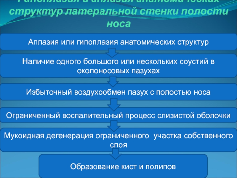 Анатомические составы. Патогенез отморожения.