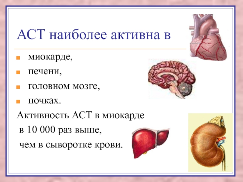 Головной мозг печень кровь. АСТ печени. АСТ фермент. Классификация ферментов печени. Ферменты головного мозга.