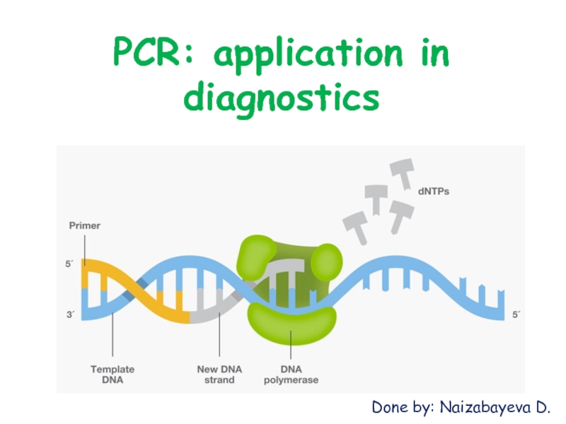 PCR: application in diagnostics