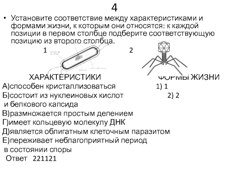 Установите соответствие данных характеристик. Установите соответствие между характеристиками и формами жизни. Установите соответствия между формами жизни. Установите характеристики между характеристиками и формами жизни. Установите соответствие между характеристиками звука.