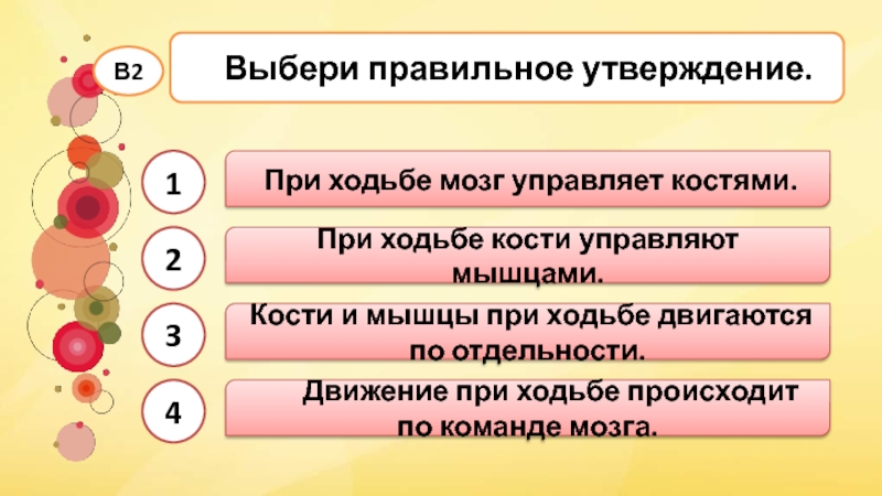 2 выберите правильное утверждение. Выбери правильное утверждение. Движение при ходьбе происходит по команде мозга. При ходьбе мышцы управляют костями. Выбери правильное утверждение при ходьбе.