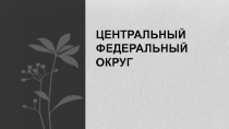ЦЕНТРАЛЬНЫЙ ФЕДЕРАЛЬНЫЙ ОКРУГ