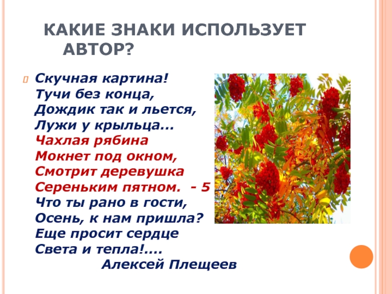 А плещеев скучная картина. Алексей Плещеев скучная картина. Стихотворение скучная картина. Стих Плещеева скучная картина. Стихи про осень скучная картина тучи без конца.