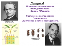 Г.Мендель
Т.Морган
Лекция 4.
Основные закономерности наследственности.
Законы