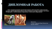 Дипломная работа
