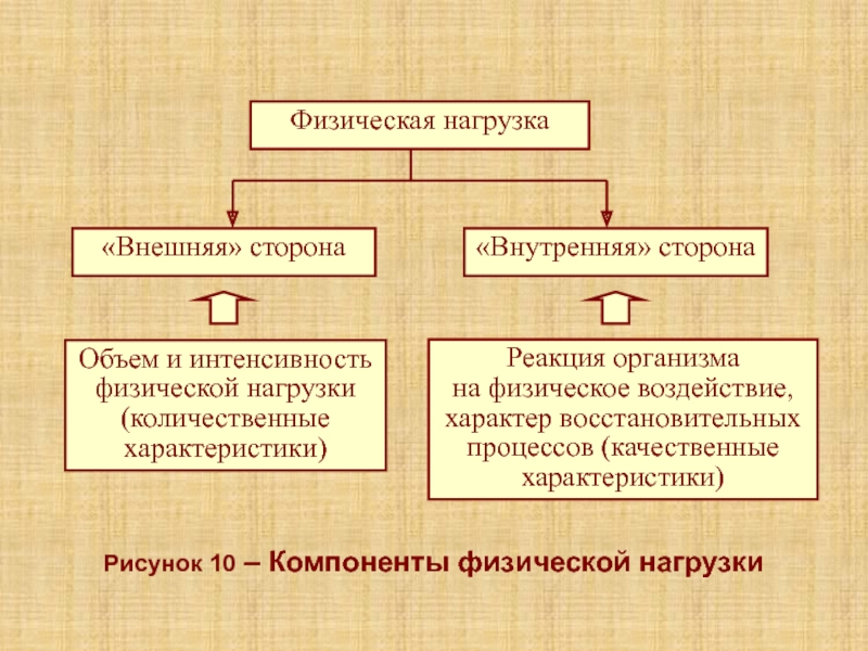 Лекция 5К Рисунок 10 – Компоненты физической нагрузки Рисунок 10 – Компоненты физической нагрузки