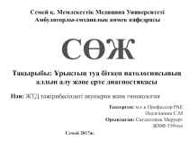 СӨЖ
Семей қ. Мемлекеттік Медицина Университеті
Амбулаторлы - емханалық көмек