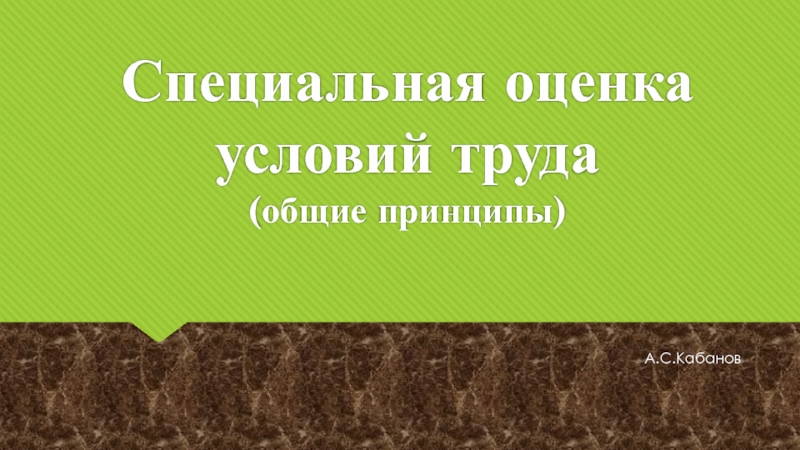 А.С.Кабанов
Специальная оценка условий труда
(общие принципы)