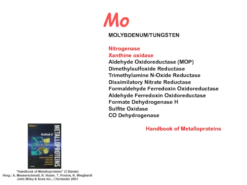 MOLYBDENUM/TUNGSTEN
Nitrogenase Xanthine oxidase
Aldehyde Oxidoreductase (MOP)