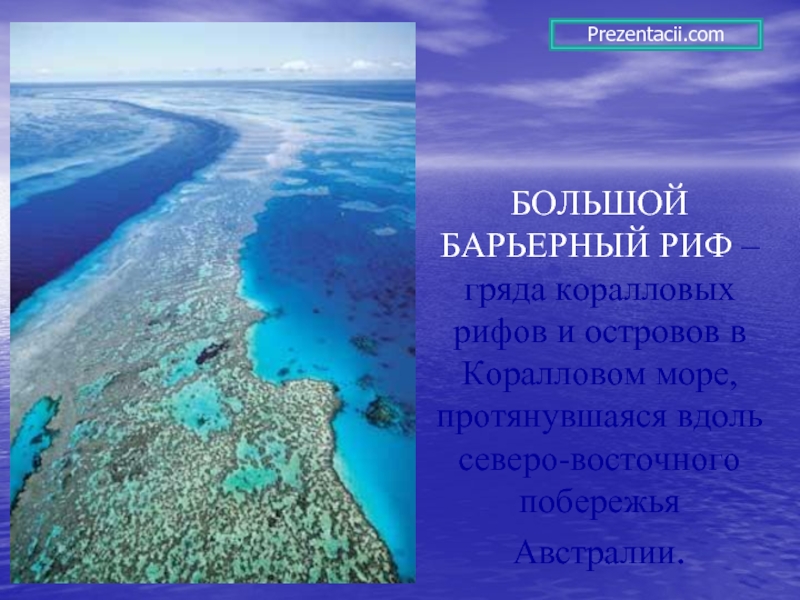 Презентация Большой барьерный риф