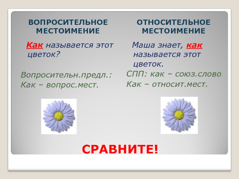 Вопросы местоимения. Относительные местоимения. Вопросительные и относительные местоимения. Вопросительные местоимения примеры. Презентация вопросительные и относительные местоимения.