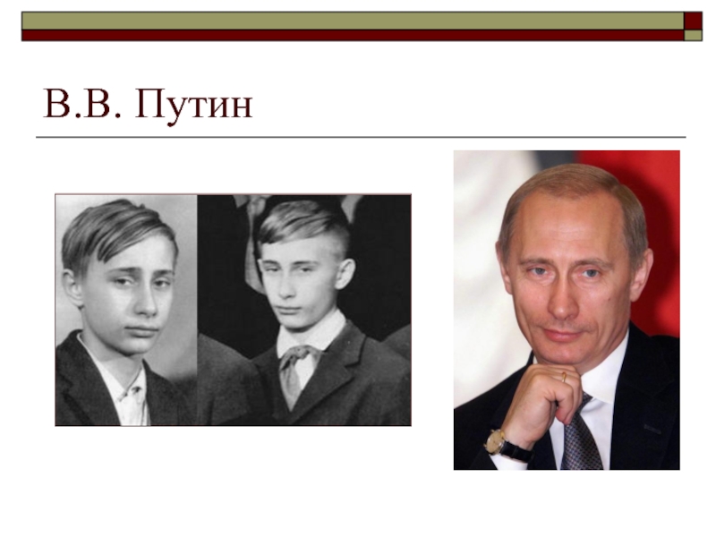 Проект путин все книги