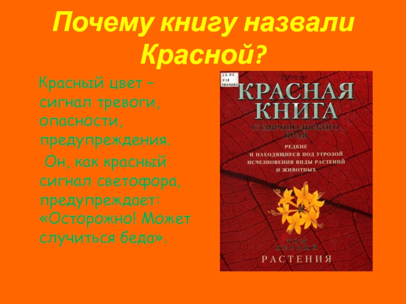 Красная Книга Нижегородской Области Животные Фото