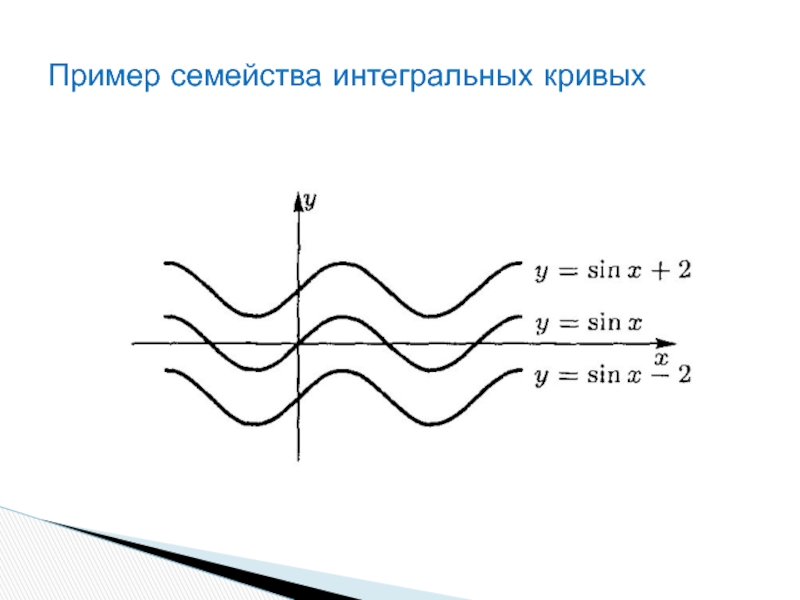 Примеры кривых