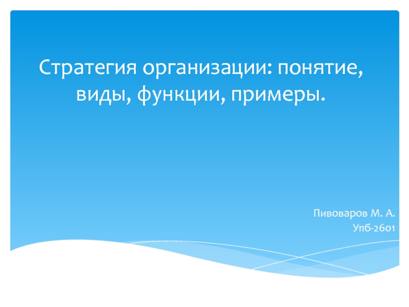 Стратегия организации: понятие, виды, функции, примеры