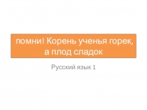 Урок русского языка. Правописание окончаний глаголов I и II спряжения.