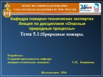 ФГБОУ ВО СИБИРСКАЯ ПОЖАРНО-СПАСАТЕЛЬНАЯ АКАДЕМИЯ ГПС МЧС РОССИИ
Кафедра