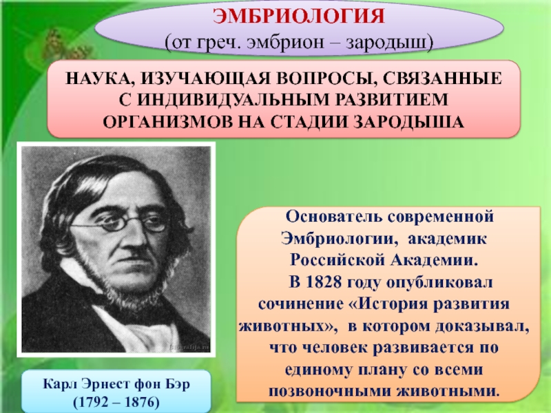 Индивидуальное развитие организма презентация