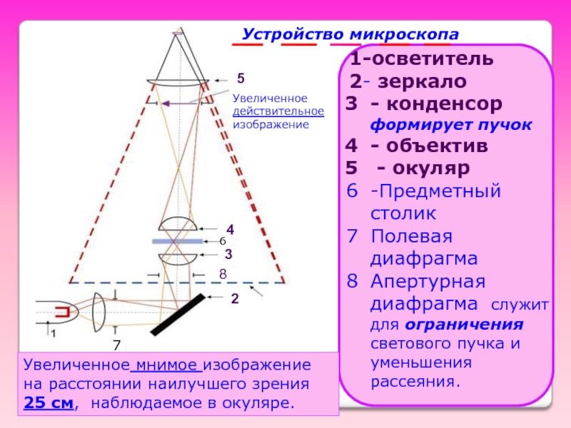 Изображение дает микроскоп действительное или мнимое