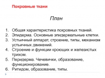 Покровные ткани
План
Общая характеристика покровных тканей.
Эпидерма. Основные