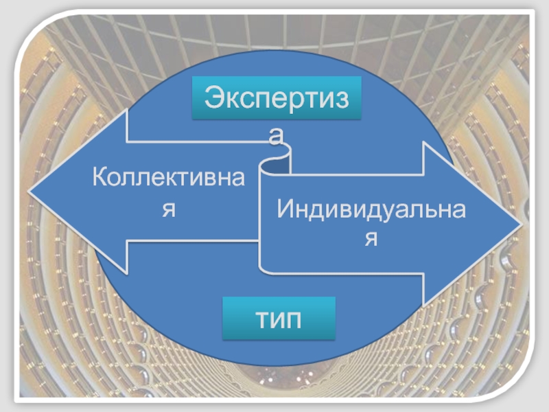 Внутренняя и внешняя экспертиза проекта