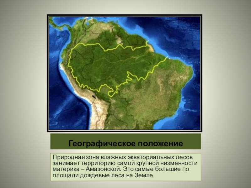 Влажные экваториальные леса на каких материках. Зона влажных экваториальных лесов Южной Америки на карте. Влажные экваториальные леса Южной Америки географическое положение. Географическое положение сельвы. Зона экваториальных лесов Южной Америки на карте.