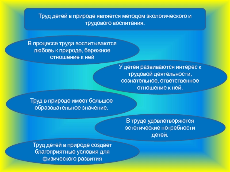 Проект труд в природе в доу