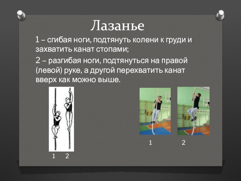 Реферат По Физкультуре Лазанье По Канату