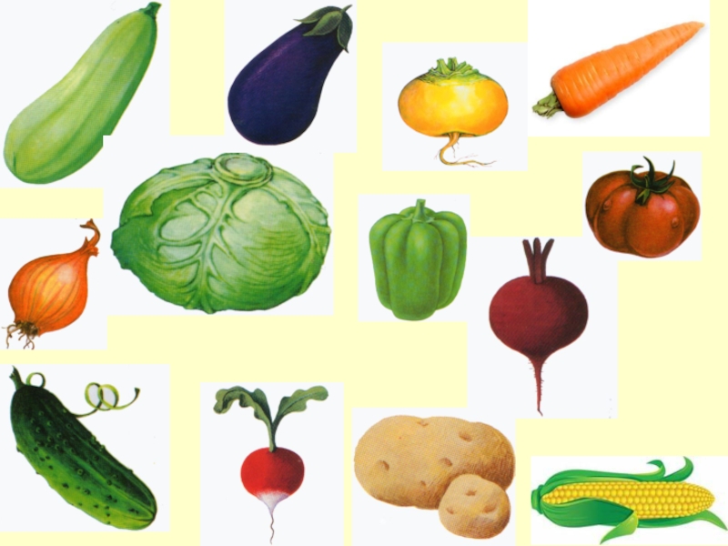 Овощи фрукты подготовительная группа. Овощи подготовительная группа. Овощи занятия с детьми. Обобщающие понятия овощи. Овощи для детей.