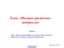 Пименов А.В.
Тема: Низшие растения - водоросли
Задачи:
Дать общую