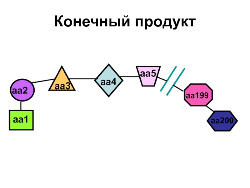 Белки конечные продукты