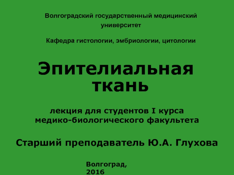 Волгоградский государственный медицинский университет Кафедра гистологии,