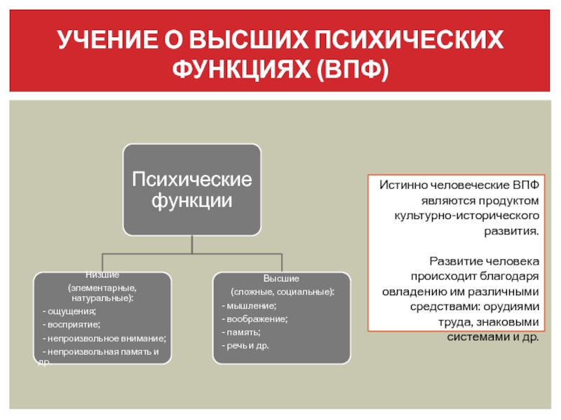 Культурно историческая концепция л с выготского презентация