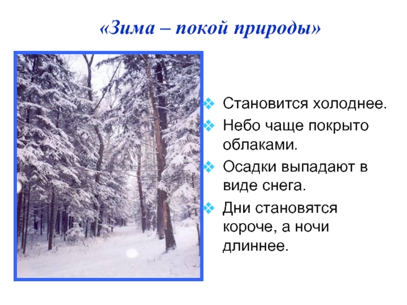 Характеристика зимних. Презентация на тему зима. Призентац я на НМУ щима. Картинки для описания зима. Презентация о зиме 4 класс.