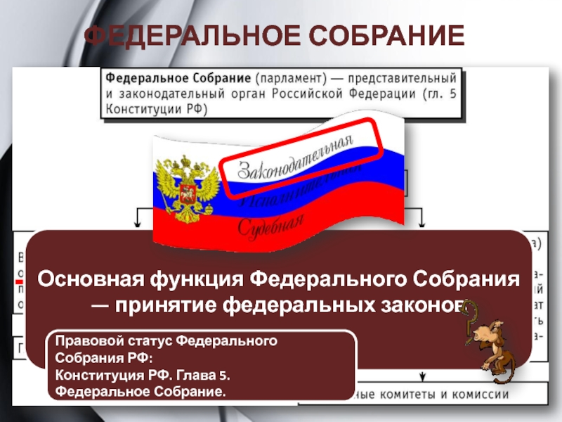 Федеральное собрание ответ. Функции федерального собрания. Функции федералтногособрания. Основные функции федерального собрания РФ. Основная функция федерального собрания РФ.