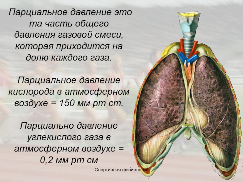 Парциальное давление воздуха. Парциальное давление эьл. Парциальное авлението. Парциальное давление это физиология. Парциальное давление это в медицине.