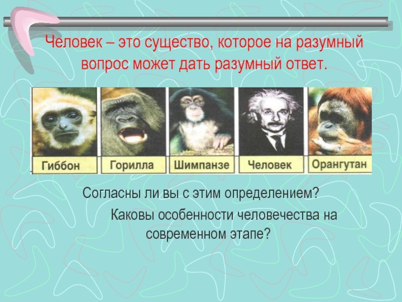 Разумный ответ. Разумное существо это определение. Согласно определению человек это существо. Каковы особенности вида человек разумный и.