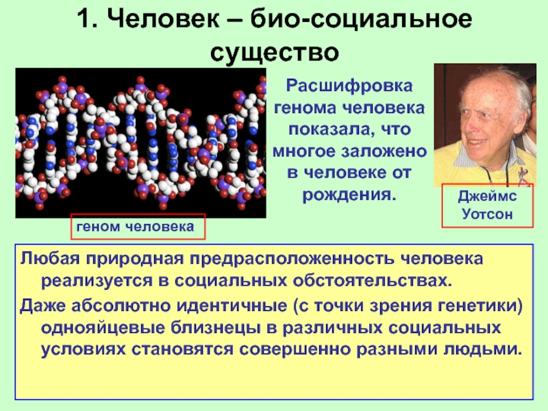 Изучение генома человека презентация