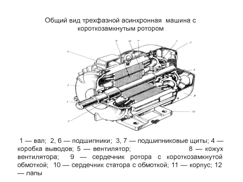 Асинхронная машина с короткозамкнутым