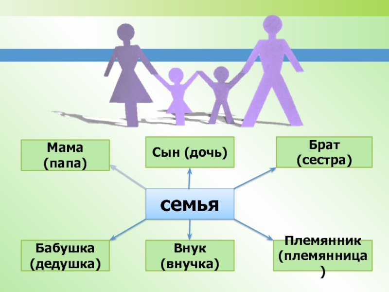 Структура семьи картинки