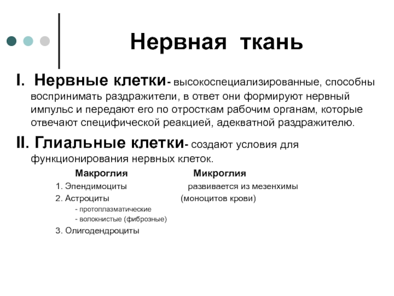 Презентация Нервная ткань