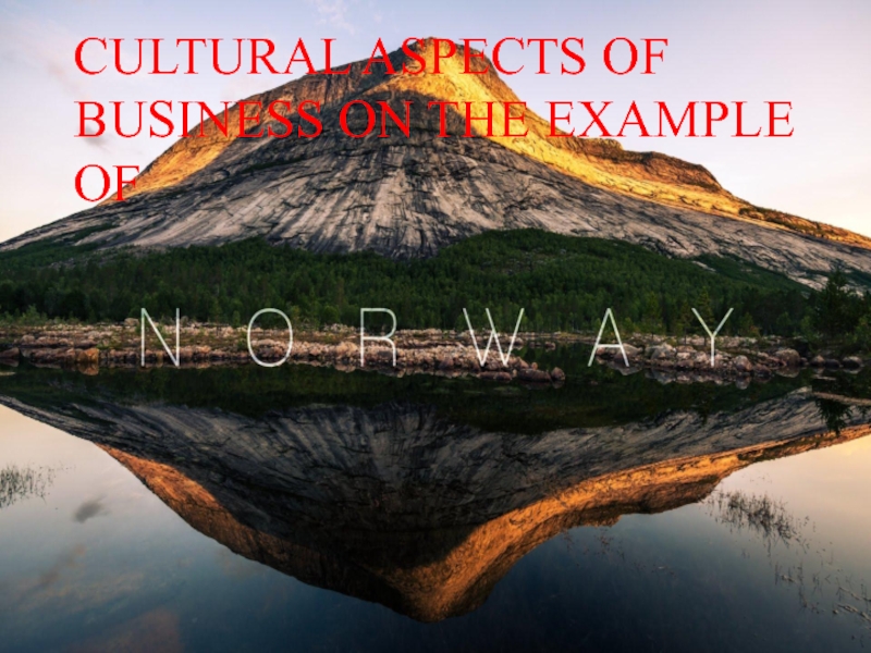CULTURAL ASPECTS OF BUSINESS ON THE EXAMPLE OF