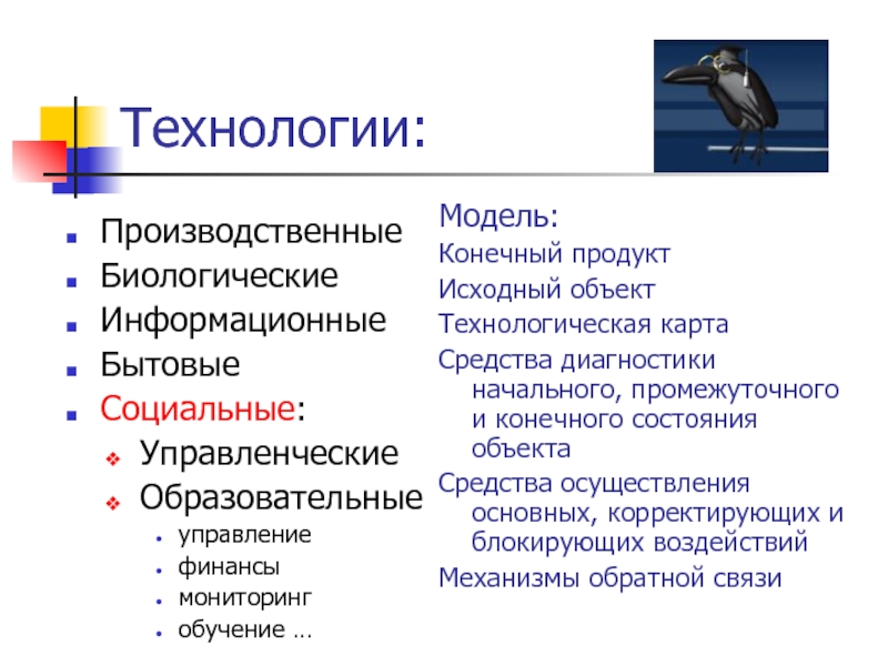 Исходный объект. Биологические информационные модели. N В технологии.