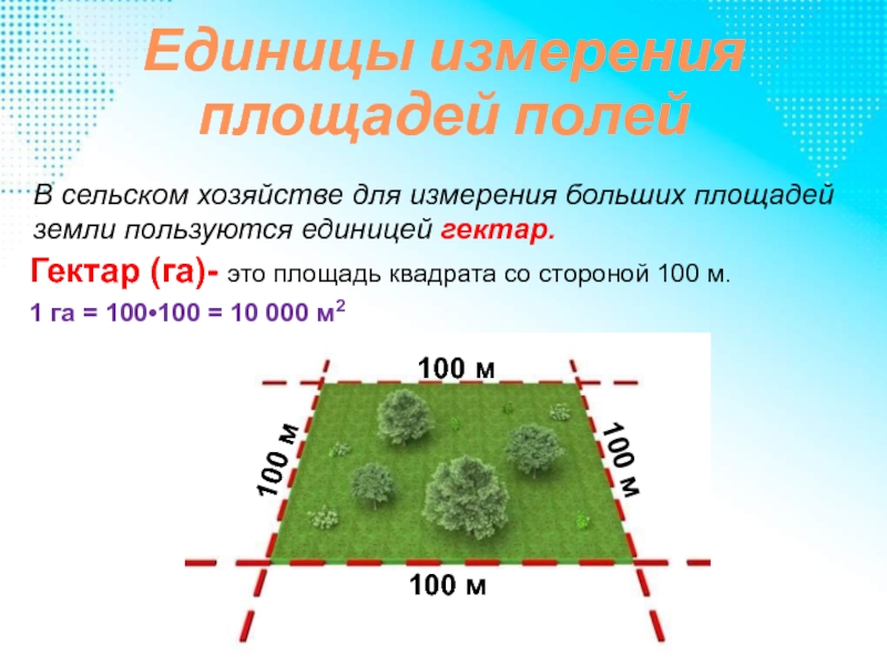 Единица измерения площади 5