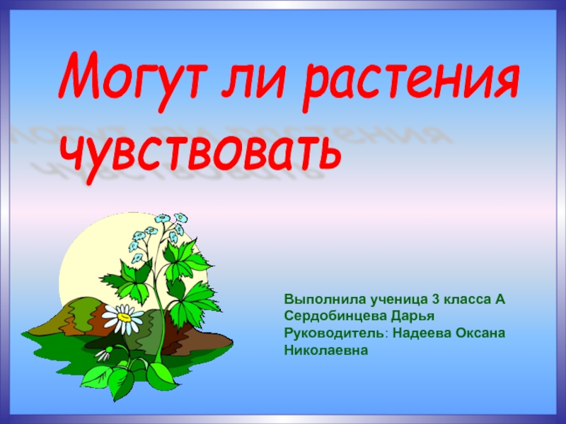 Чувство растений. Чувства растений. Путешествуют ли растения 3 класс. Подвижны ли растения. Могут ли растения чувствовать боль.