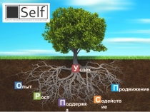 С
одействие
Р
ост
О
пыт
У
спех
П
родвижение
П
оддержка