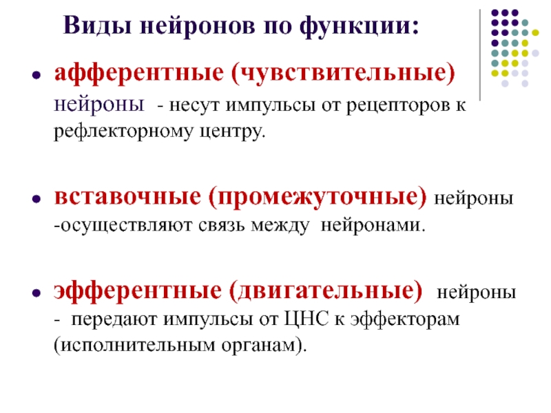 Вставочные нейроны передают импульсы от. Виды нейронов по функции. Виды нейронов афферентные. Типы нейронов афферентные эфферентные. Несут импульсы от рецепторов.