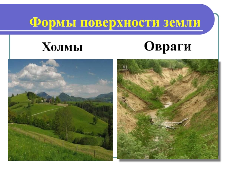 Виды поверхности земли. Гора равнина холм овраг задания. Формы поверхности суши: равнины, холмы, овраги.. Поверхность суши равнины холмы овраги горы. Овраг на равнине.